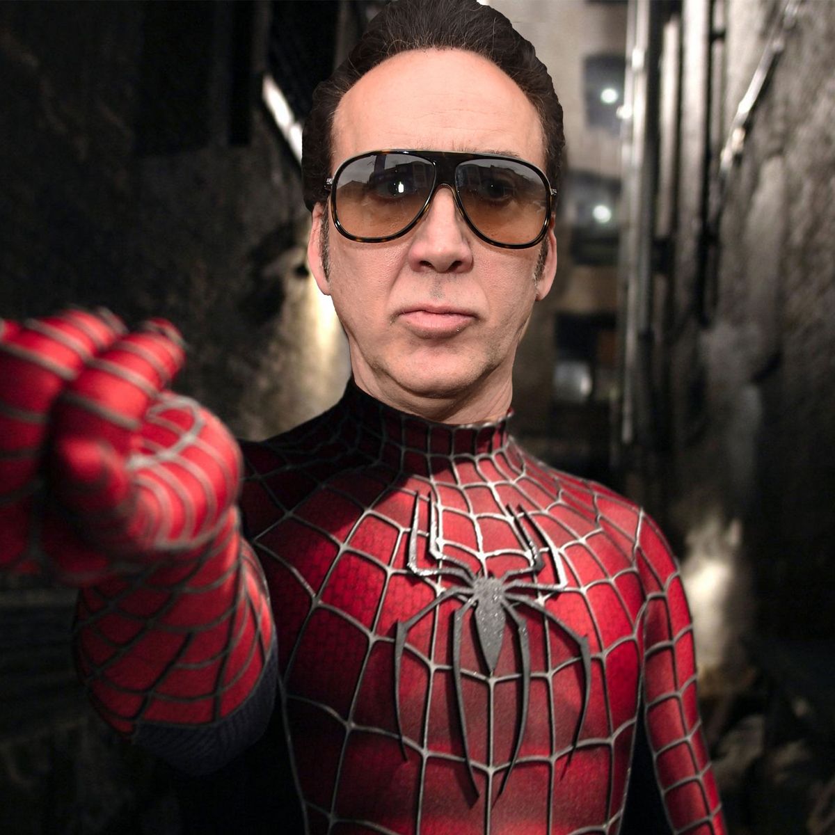 Nicolas Cage has been cast as Spider-Man