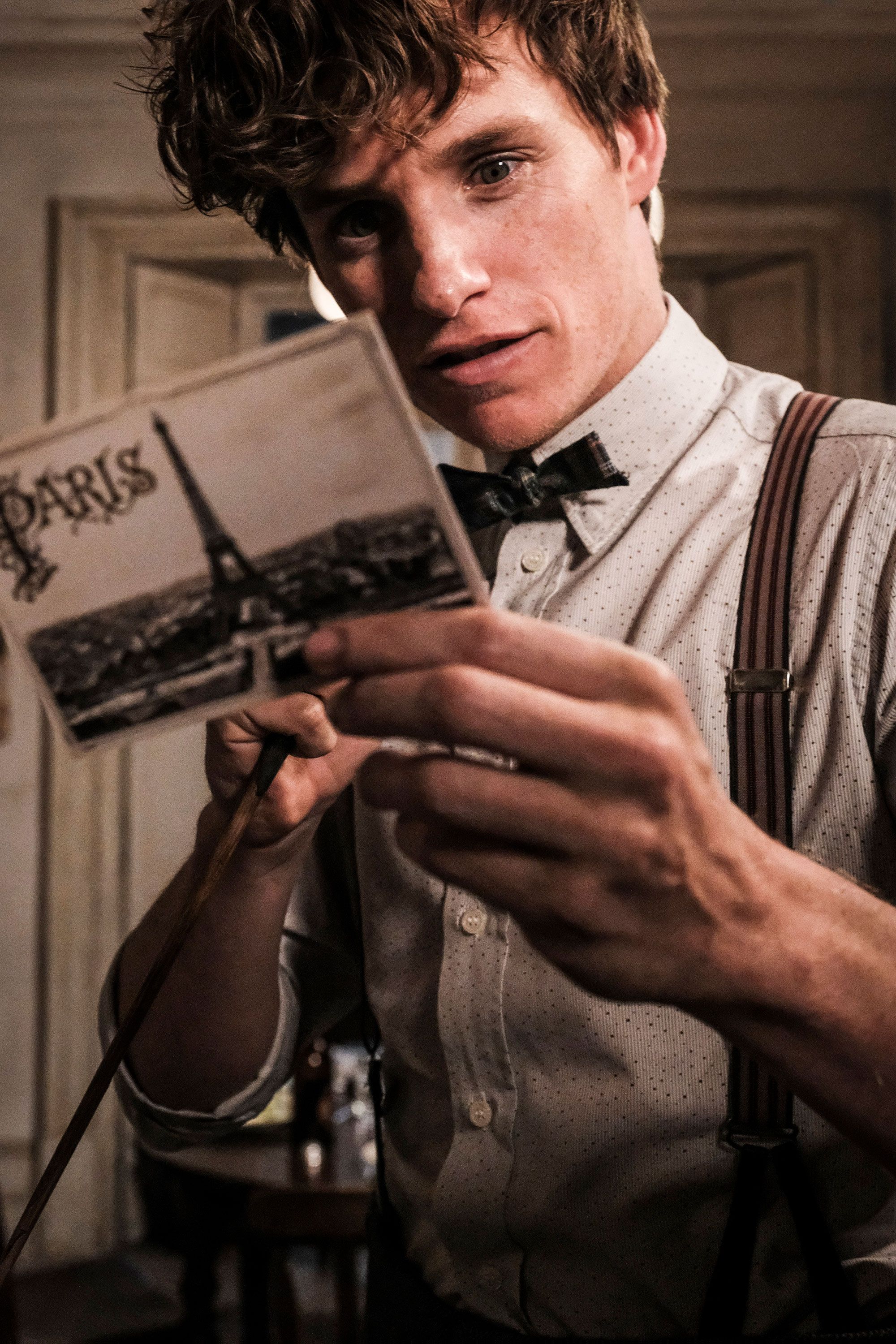 Newt scamander actor