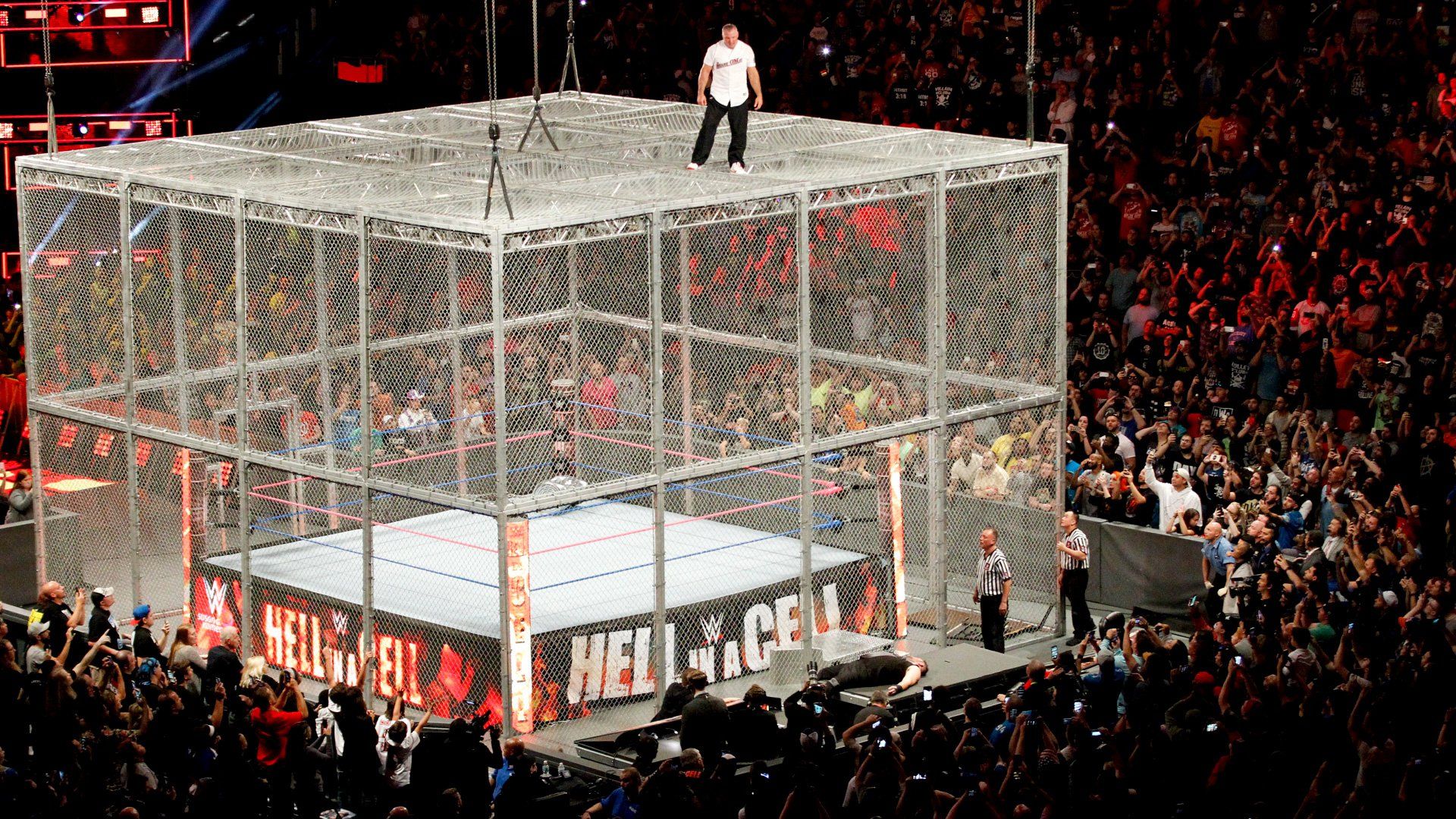 hell in a cell cage