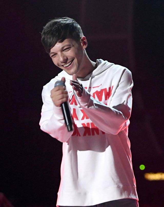 I Heart Louis Tomlinson Crop Top - Merch for Concert or Festival