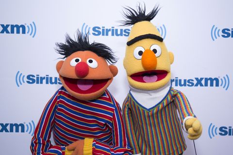 Sesame Street Sex Comics - Sesame Street officially respond to claims that Bert and ...