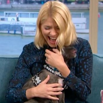 Holly Willoughby, Phillip Schofield, dog, wee, This Morning