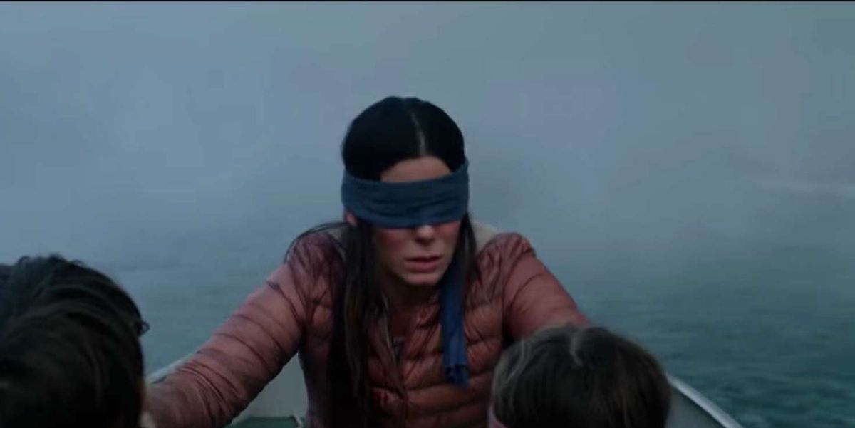 Bird Box's real-life train disaster footage removed by Netflix