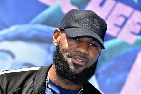 lebron hair space jam