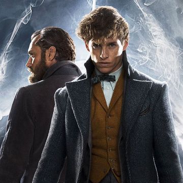 fantastic beasts the crimes of grindelwald post dumbledore and newt scamander