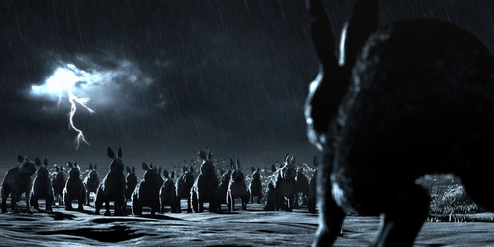 Watership Down: General Woundwort readies his army for battle. [EMBARGOED UNTIL 10PM UK TIME TONIGHT, THURSDAY 1 NOVEMBER]