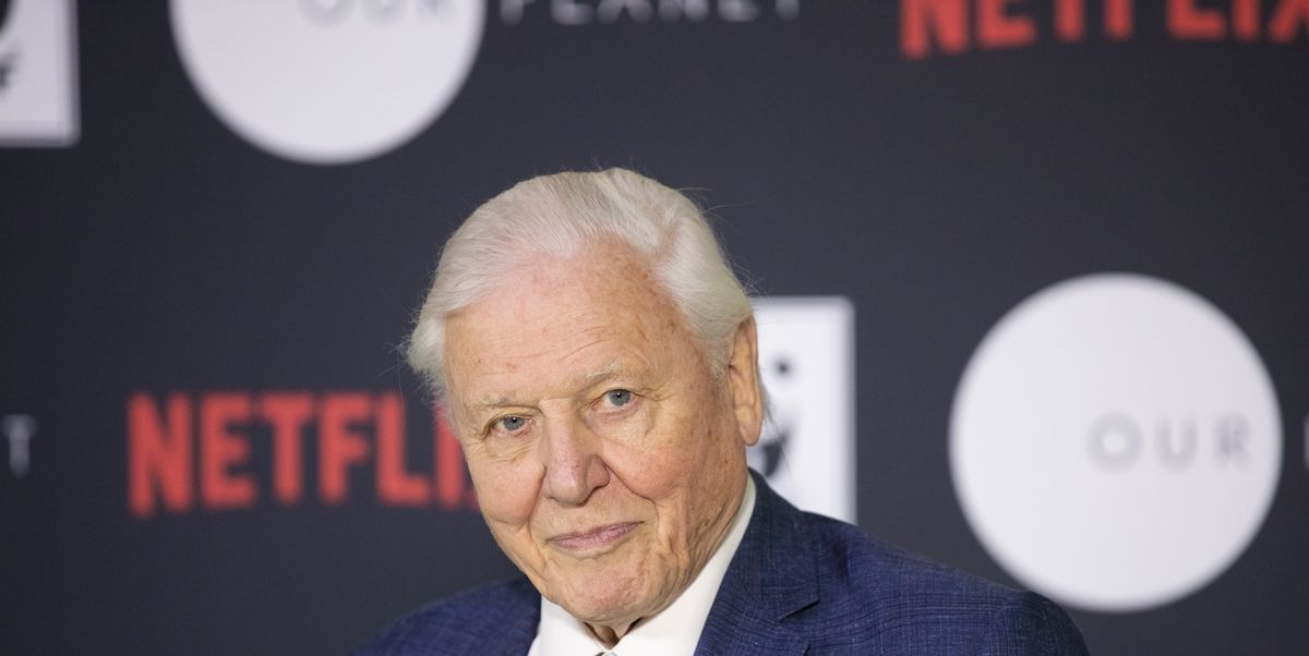 Sir David Attenborough responds to rumours about his ...