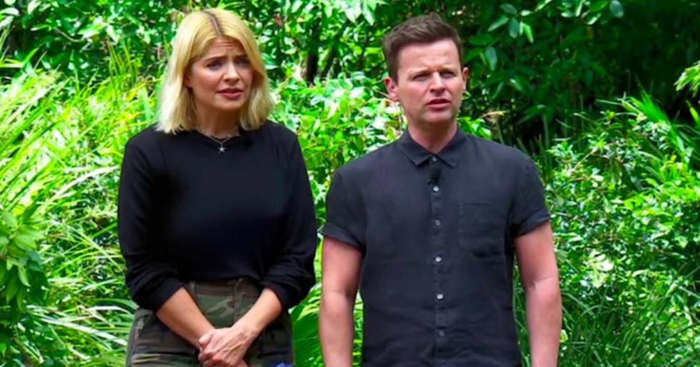 Holly Willoughby and Declan Donnelly on I'm A Celebrity, November 2018
