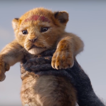 Disney's The Lion King, live-action, baby Simba