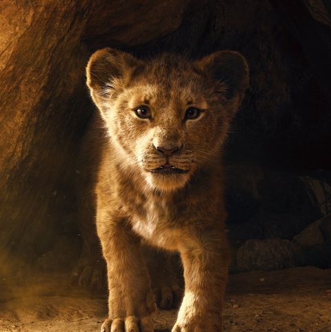 Disney's Lion King teaser features remake of 'Hakuna Matata'