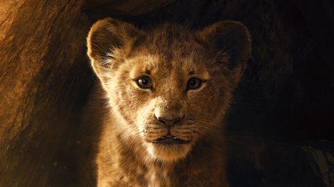 lion king plot summary
