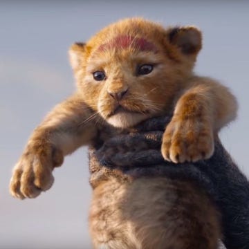Disney's The Lion King, live-action, baby Simba