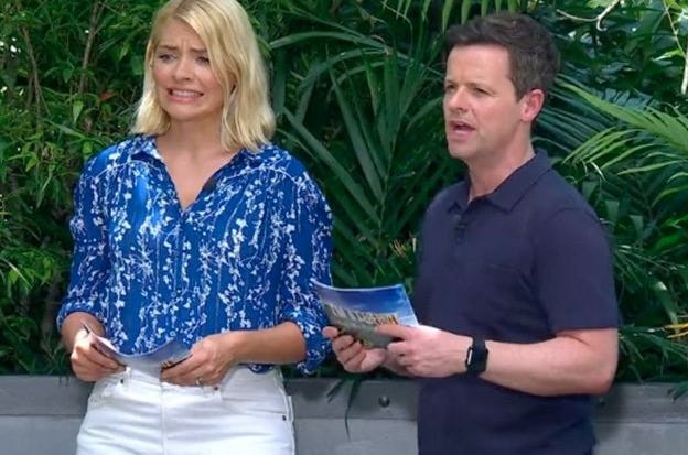 Holly Willoughby, Dec Donnelly, Declan Donnelly, I'm A Celebrity