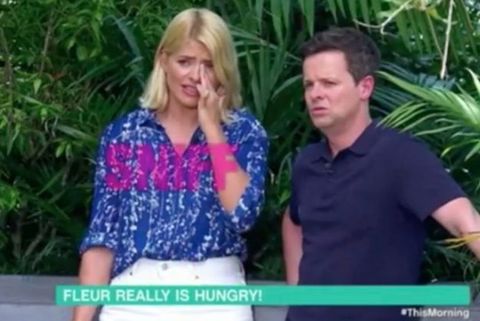 Holly Willoughby, Dec Donnelly, Declan Donnelly, I'm A Celebrity, I'm A Celeb