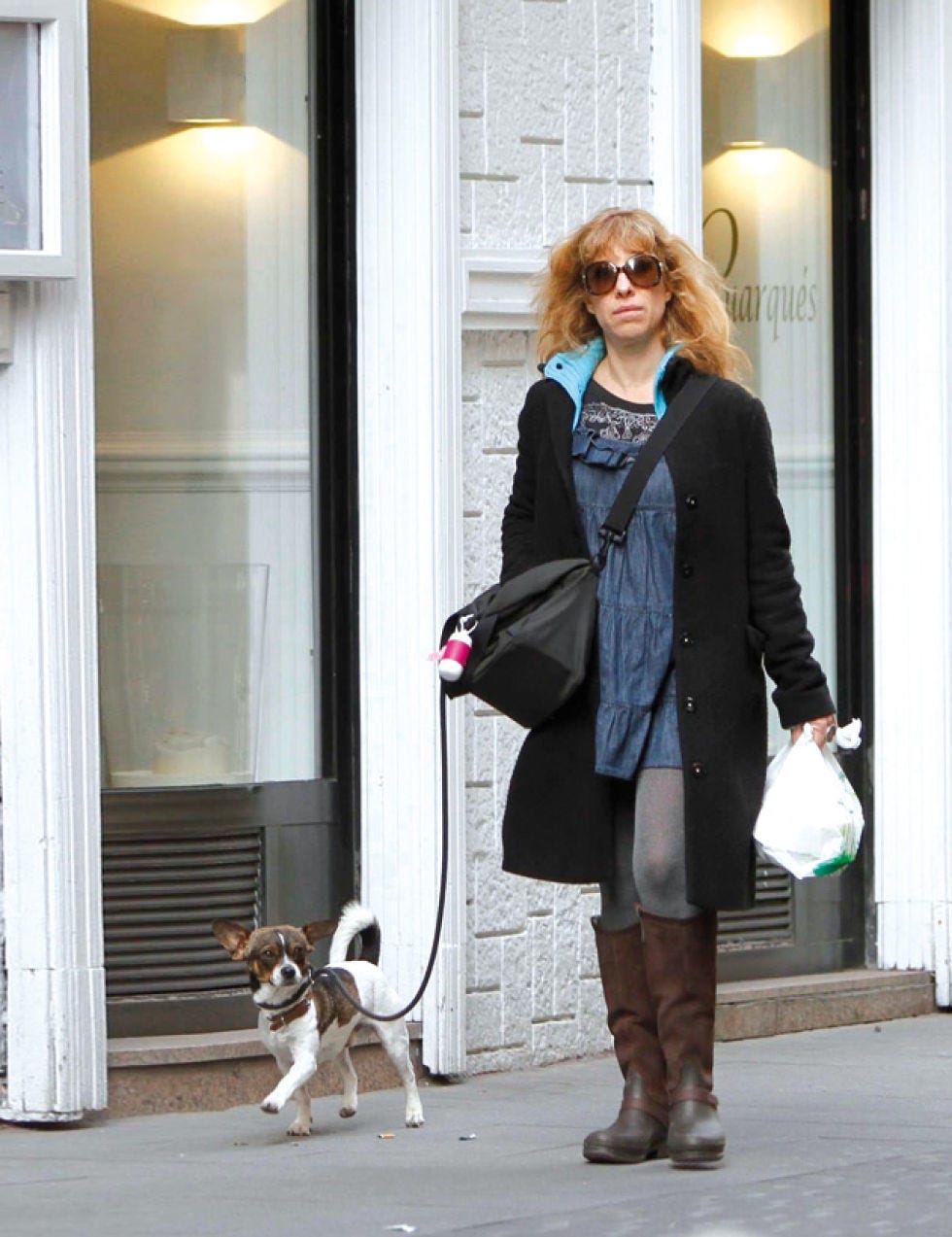Clothing, Dog breed, Dog, Collar, Sunglasses, Coat, Outerwear, Bag, Carnivore, Fashion accessory, 