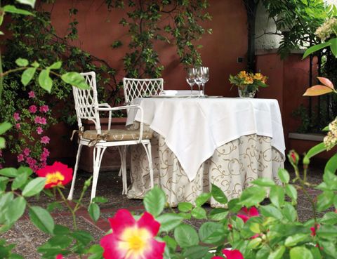 Petal, Plant, Tablecloth, Flower, Table, Shrub, Flowering plant, Linens, Flowerpot, Garden, 