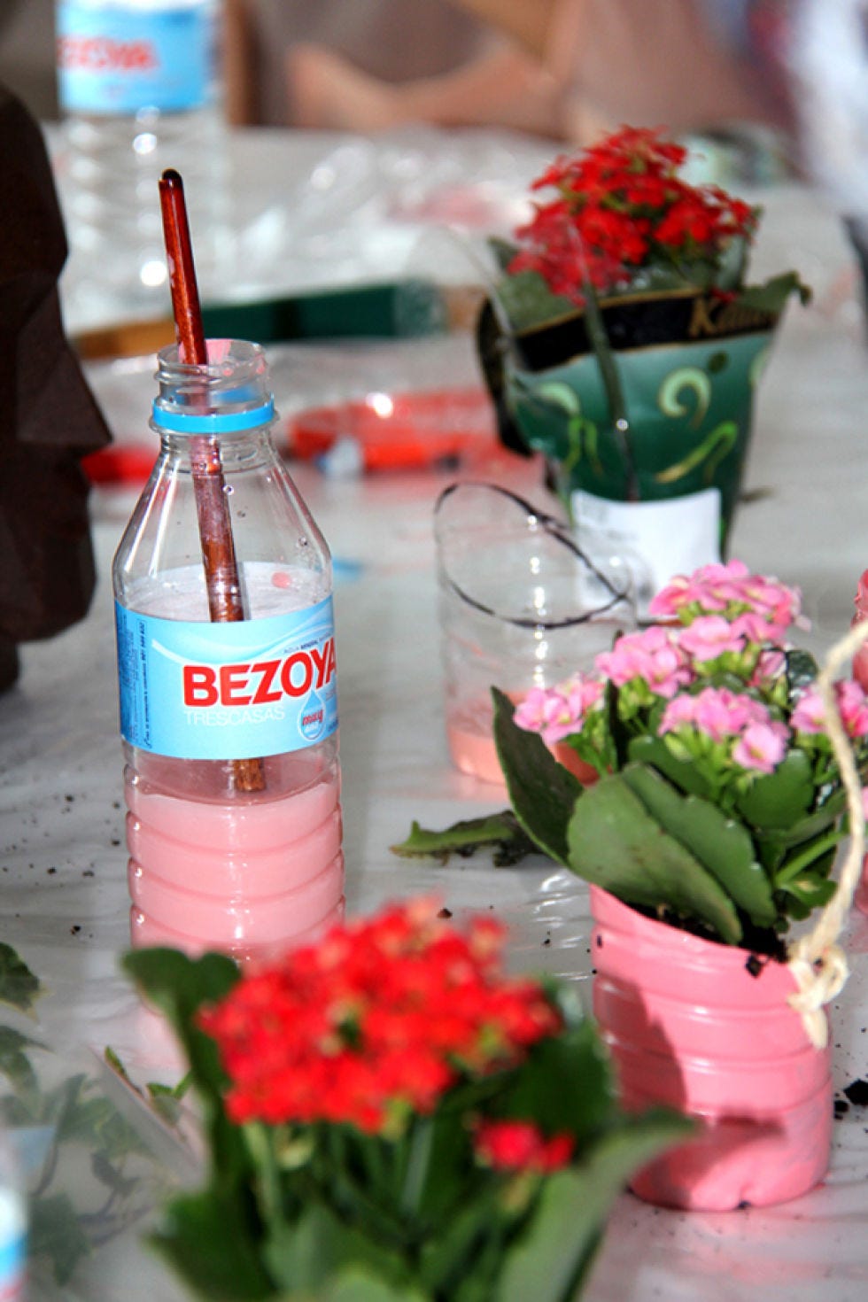 Liquid, Petal, Bottle, Fluid, Flower, Drinkware, Plastic bottle, Bouquet, Drink, Bottle cap, 