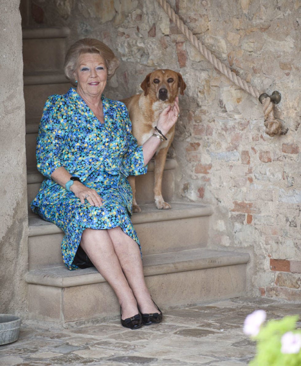 Dog breed, Dog, Vertebrate, Mammal, Carnivore, Dress, Sporting Group, Sitting, Fawn, Companion dog, Dog breed, Dog, Vertebrate, Mammal, Carnivore, Dress, Sporting Group, Sitting, Fawn, Companion dog,