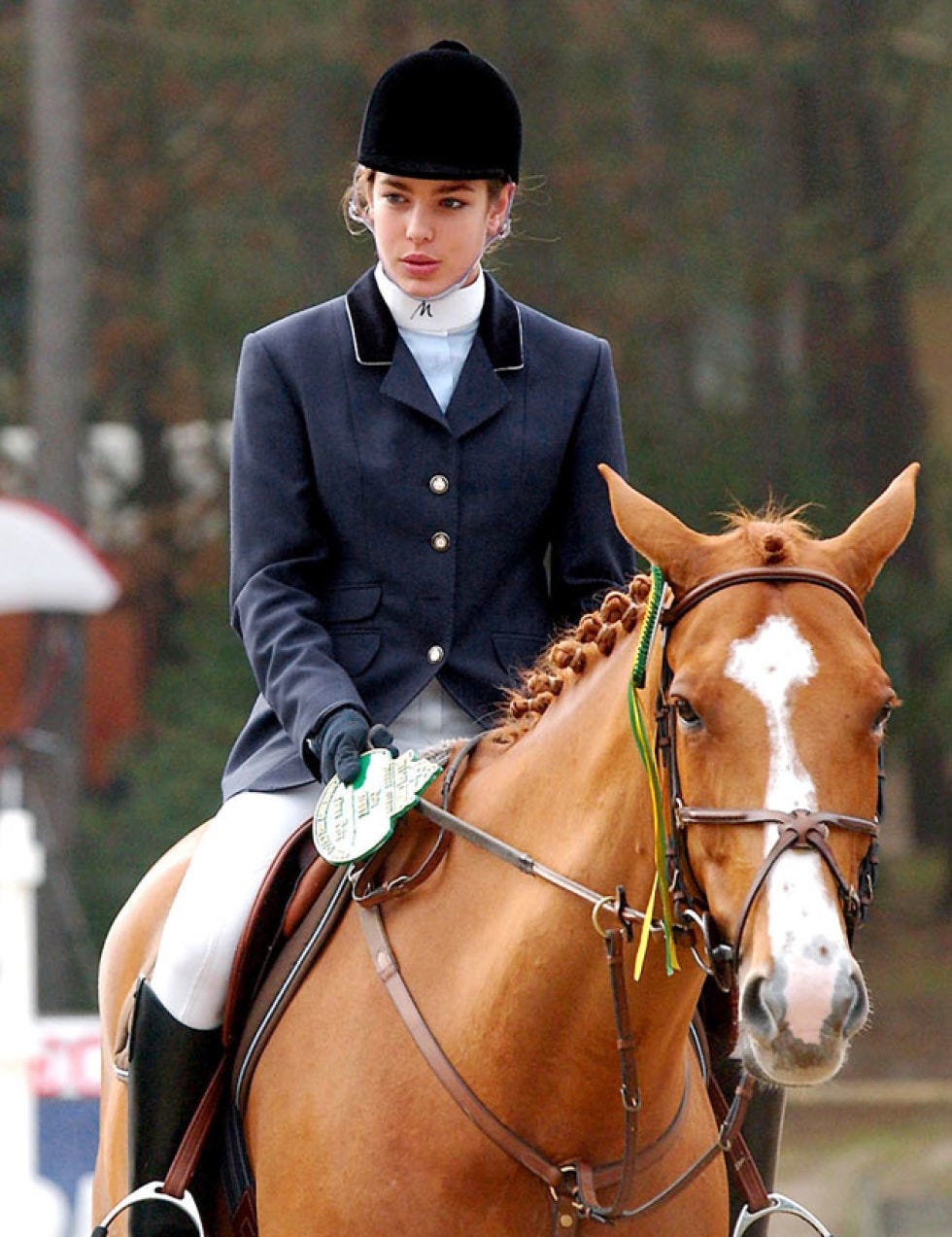 Halter, Bridle, Vertebrate, Horse supplies, Recreation, Horse, Horse tack, English riding, Rein, Saddle, 