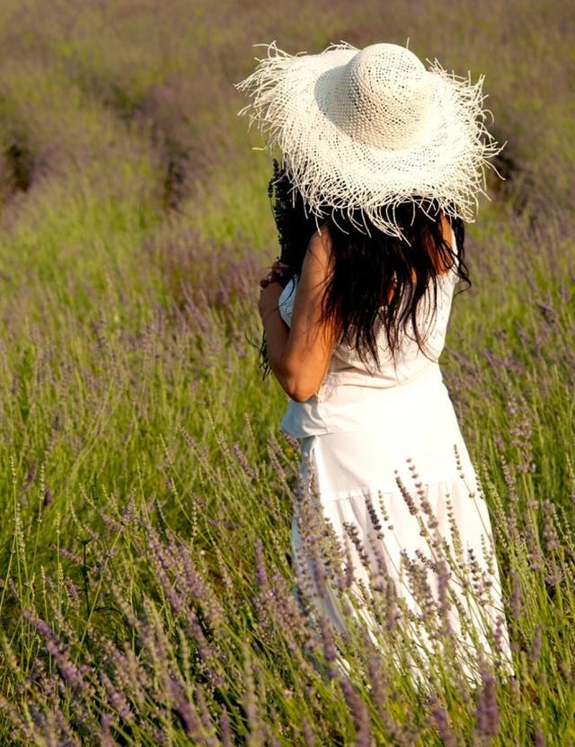People in nature, Field, Headgear, Costume accessory, Grass family, Grassland, Meadow, Agriculture, Lavender, Flowering plant, 