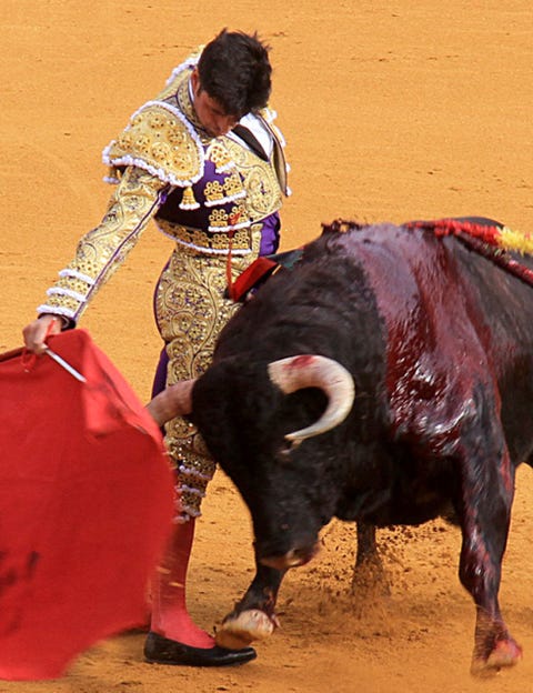 Matador, Bull, Entertainment, Sport venue, Event, Performing arts, Bullring, Bovine, Bullfighting, Magenta, 