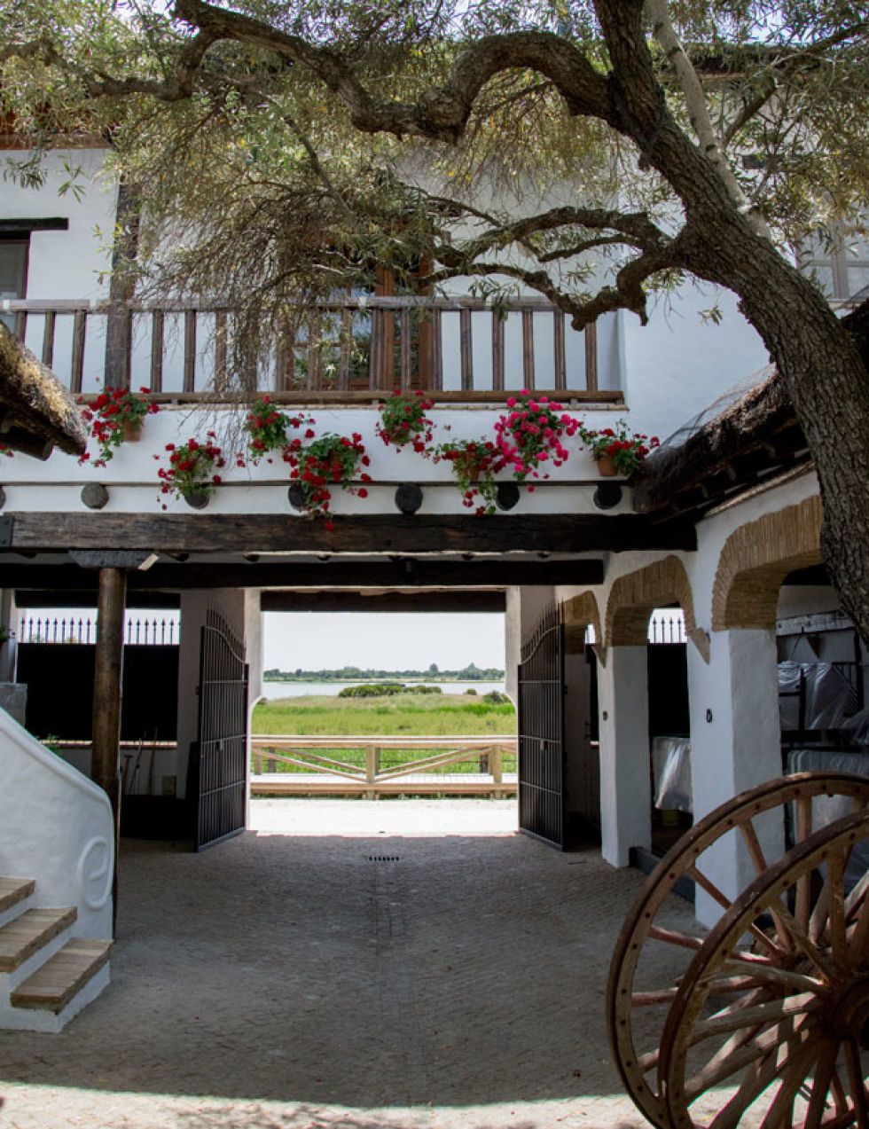 El Litri nos abre las puertas de su casa de El Rocío