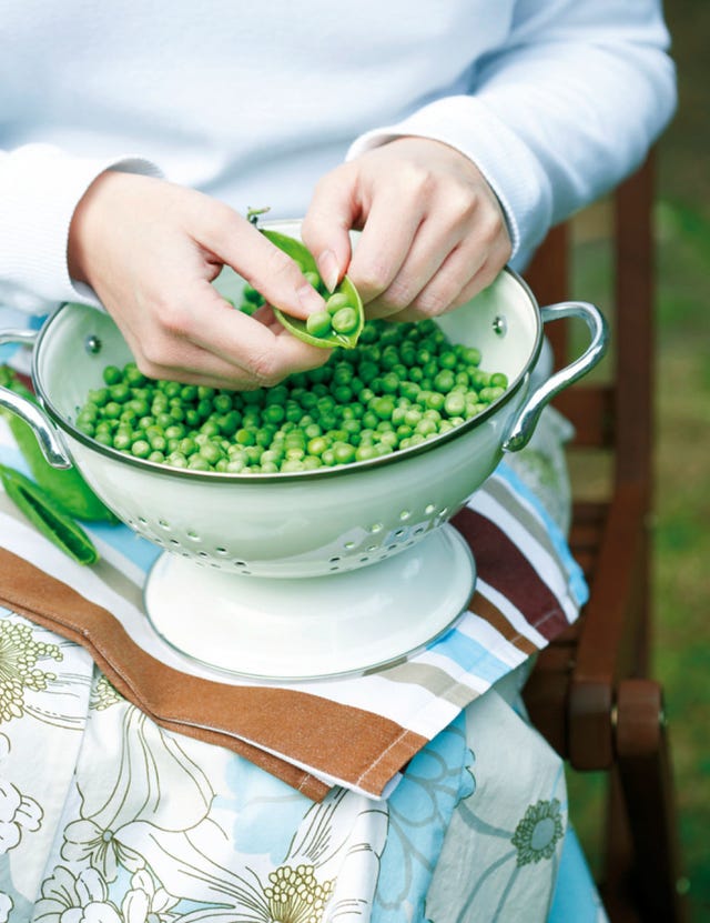 Green, Ingredient, Produce, Food, Dishware, Turquoise, Serveware, Aqua, Legume, Kitchen utensil, 