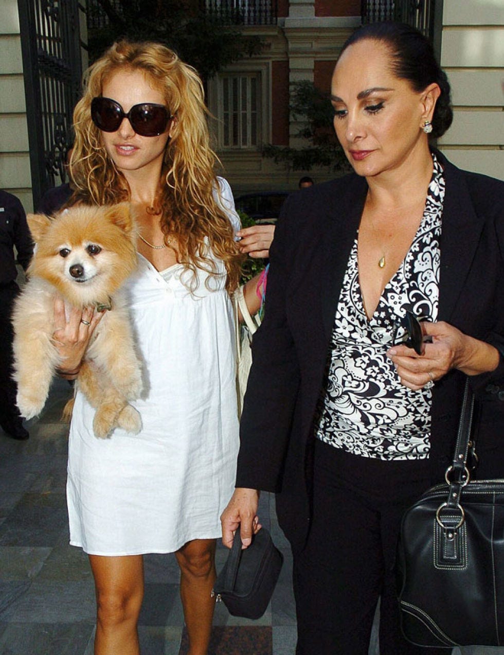 Clothing, Dog breed, Outerwear, Dog, Carnivore, Coat, Fashion accessory, Style, Bag, Sunglasses, 