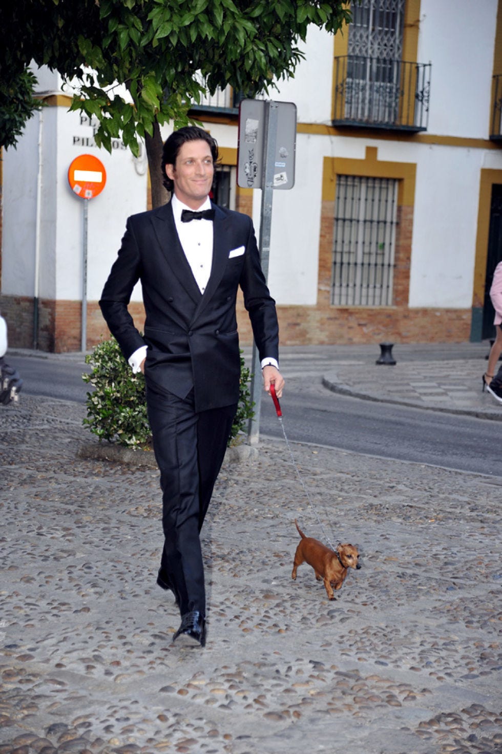 Human, Trousers, Outerwear, Coat, Dog breed, Dog, Formal wear, Suit, Collar, Blazer, 