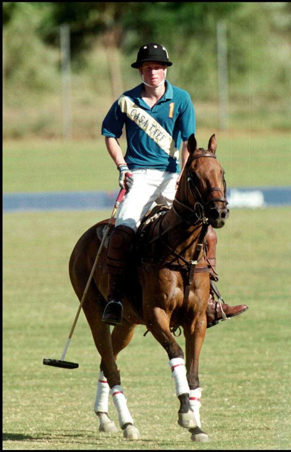 Horse, Halter, Bridle, Rein, Animal sports, Mammal, Sports, Vertebrate, Polo, Horse tack, 