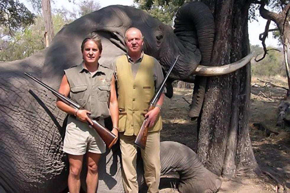 Human, Elephant, People, Skin, Elephants and Mammoths, Organism, Vertebrate, Jaw, Adaptation, Indian elephant, 