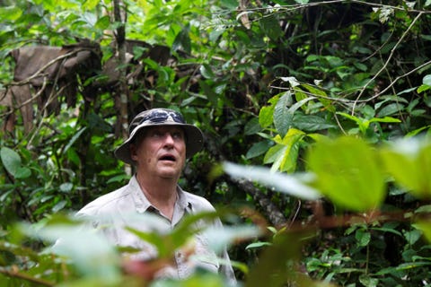 Human, Shirt, Adaptation, People in nature, Forest, Jungle, Sunglasses, Sun hat, Rainforest, Goggles, 