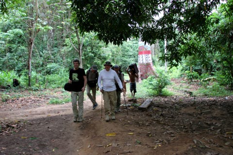 Soil, Adaptation, Woody plant, Forest, Nature reserve, Rural area, Jungle, Trail, Woodland, Rainforest, 