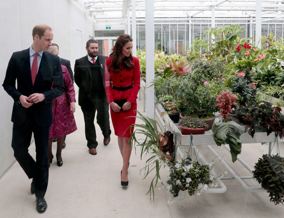 Coat, Trousers, Suit trousers, Outerwear, Suit, Flowerpot, Greenhouse, Blazer, Garden, Tie, 