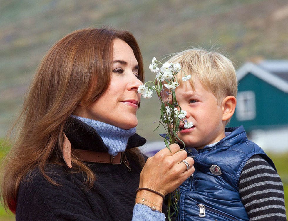 Hairstyle, People in nature, Blond, Brown hair, Long hair, Makeover, Hair coloring, Watch, Cut flowers, 