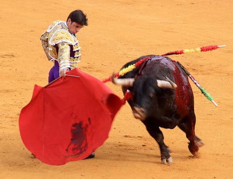 Matador, Bull, Human, Sand, Sport venue, Performing arts, Entertainment, Bullring, Bullfighting, Bovine, 