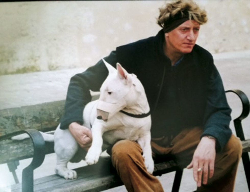Human, Sitting, Comfort, Carnivore, Dog breed, Dog, Companion dog, Bull terrier, Street fashion, Canidae, 
