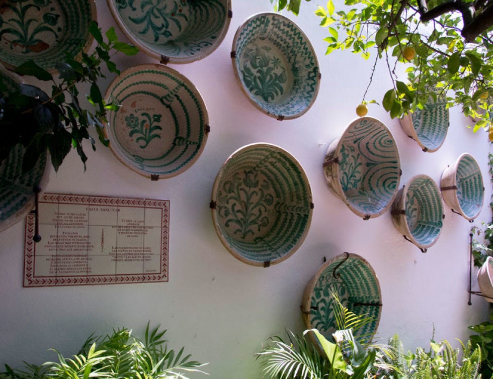 Dishware, Serveware, Plate, Circle, Ceramic, Pottery, earthenware, Platter, Arecales, Perennial plant, 