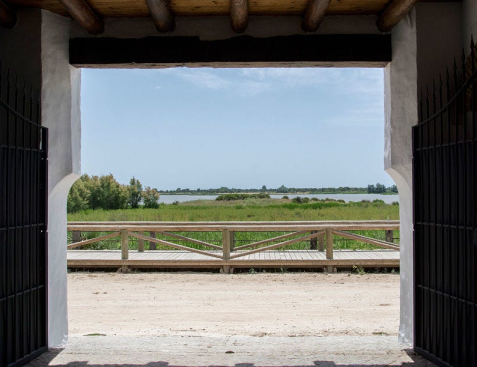 Wood, Property, Land lot, Real estate, Plain, Concrete, Fixture, Shade, Rural area, Composite material, 