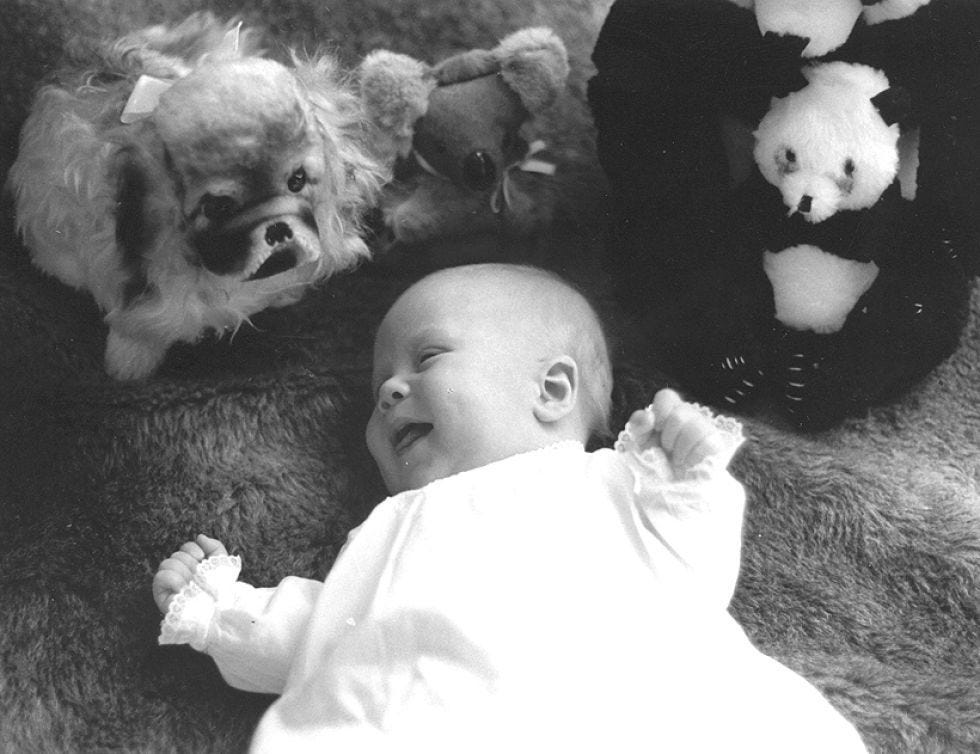 Organism, Stuffed toy, Toy, Plush, Baby & toddler clothing, Toddler, Fur, Baby, Baby toys, Toy dog, 