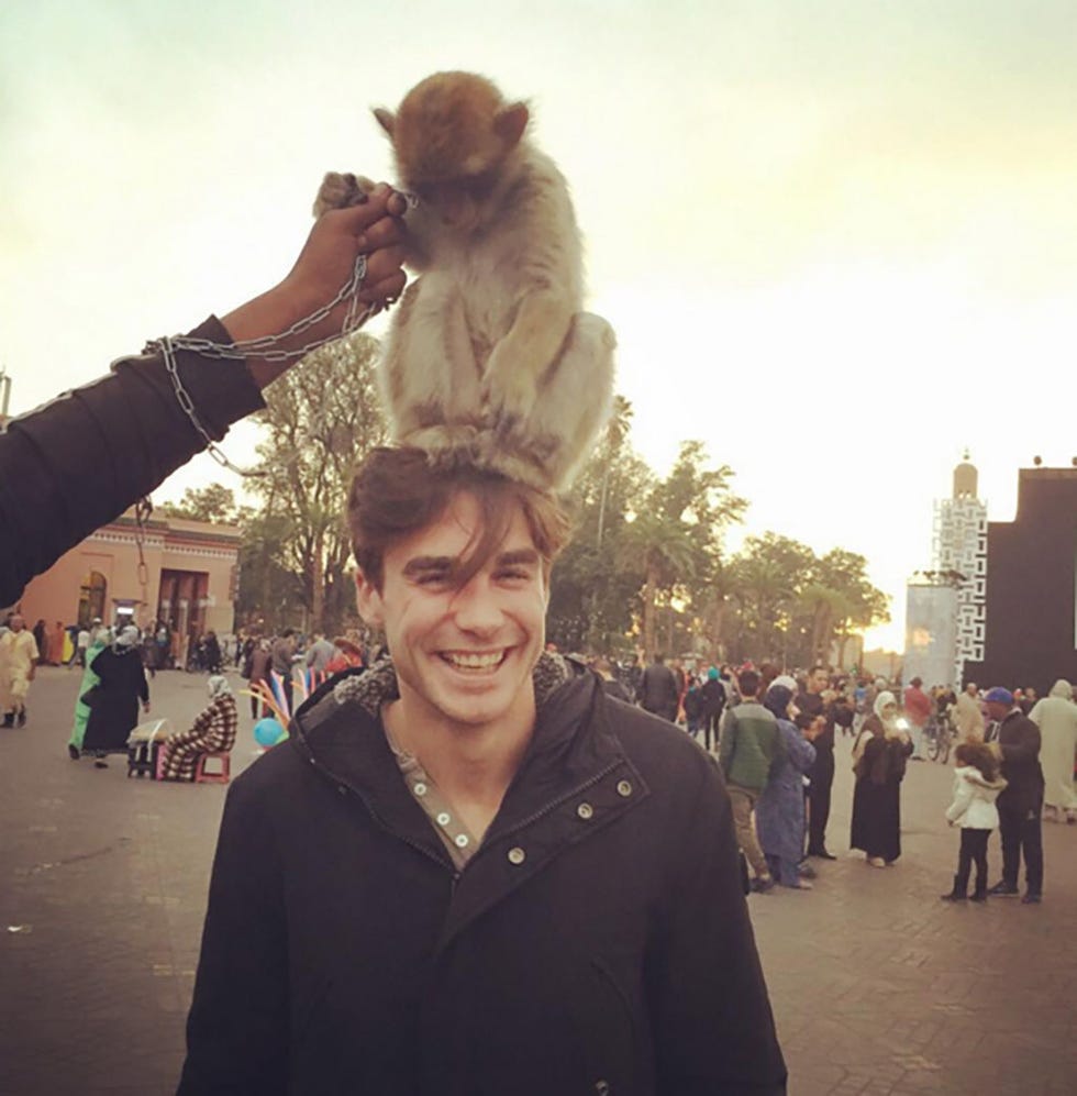 Tourism, Temple, Jacket, World, Pedestrian, Primate, Macaque, Fur, Town square, Walking, 