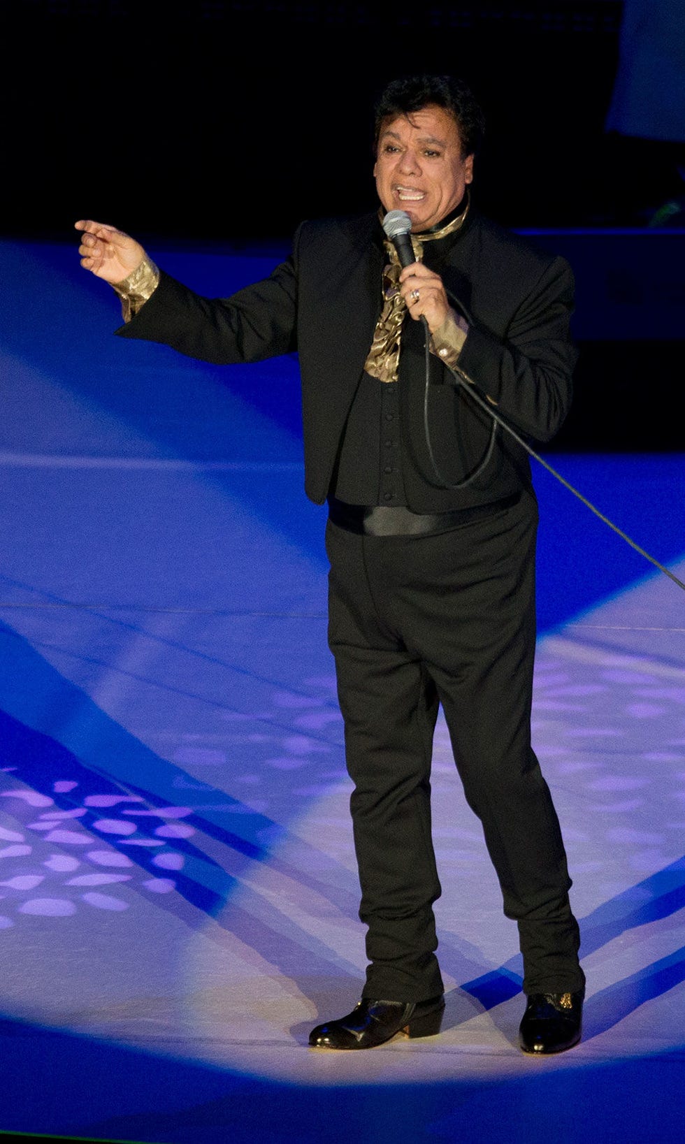 Microphone, Audio equipment, Shoe, Entertainment, Music artist, Formal wear, Suit trousers, Blazer, Stage, Performance, 