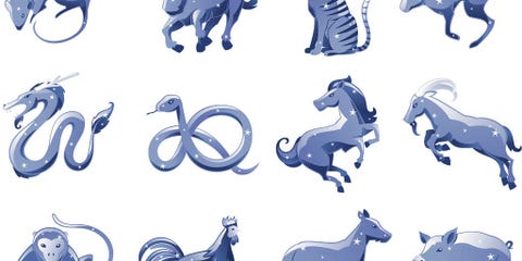 Blue, Organism, Vertebrate, Terrestrial animal, Azure, Symbol, Canidae, Illustration, Graphics, Animal figure, Blue, Organism, Vertebrate, Terrestrial animal, Azure, Symbol, Canidae, Illustration, Graphics, Animal figure,