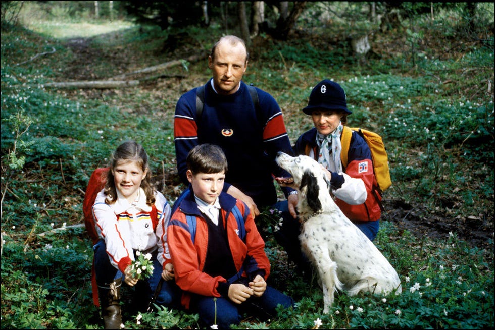 Canidae, Dog, Adaptation, Recreation, Sporting Group, Adventure, Carnivore, Child, 