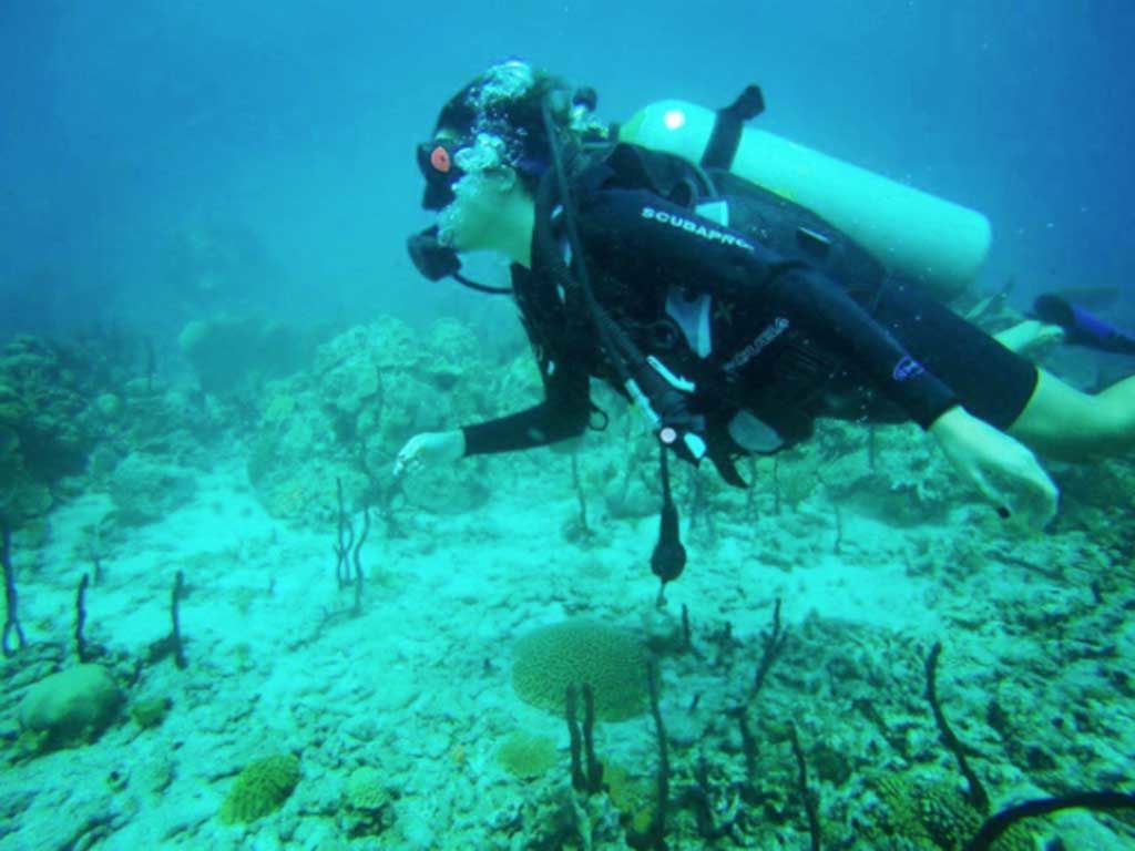 Underwater, Fluid, Organism, Underwater diving, Human, Diving equipment, Scuba diving, Divemaster, Recreation, Water, 