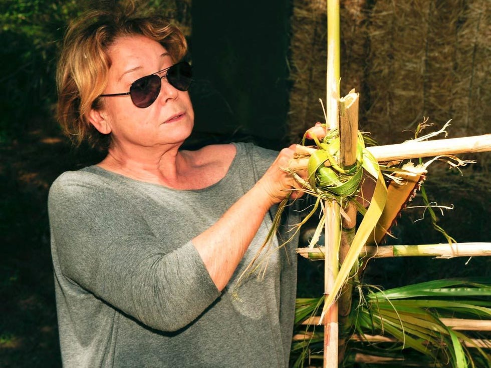 Eyewear, Glasses, Vision care, Sunglasses, T-shirt, Botany, Goggles, Terrestrial plant, Jewellery, Street fashion, 