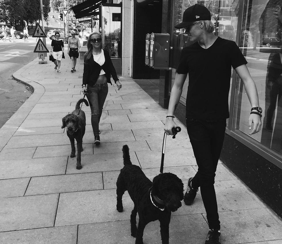 Dog breed, Human, Leg, Vertebrate, Dog, Monochrome, Leash, Mammal, Carnivore, Street, 