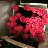 Petal, Bouquet, Flower, Red, Pink, Cut flowers, Floristry, Flowering plant, Flower Arranging, Rose family, 
