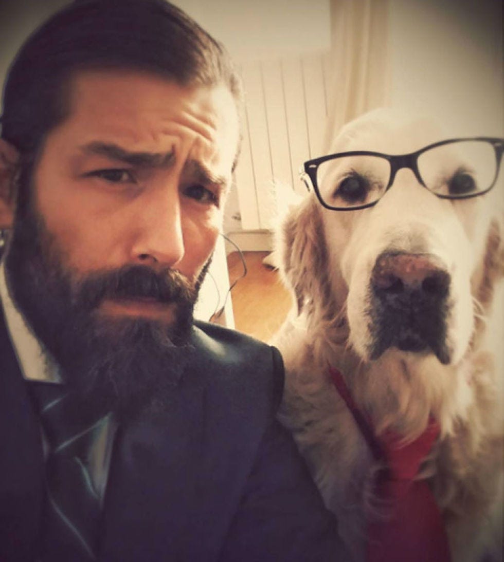 Dog breed, Facial hair, Dog, Carnivore, Mammal, Beard, Jaw, Moustache, Companion dog, Snout, 