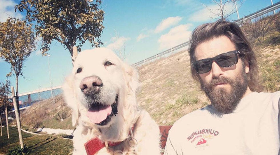 Eyewear, Glasses, Facial hair, Dog breed, Carnivore, Dog, Collar, Vertebrate, Mammal, Beard, 